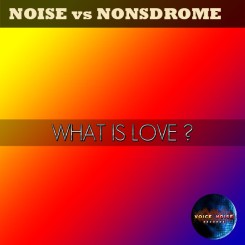 Noise vs Nonsdrome - What is Love?